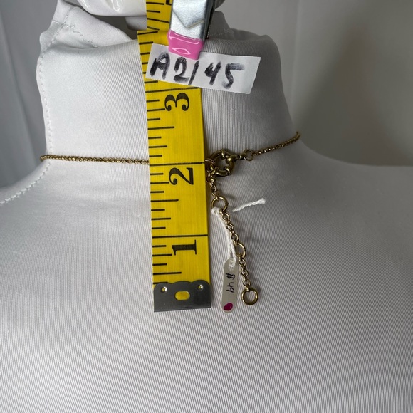 NWT Gold & Rhinestone Style Pendant Necklace| 18-20” long - Picture 5 of 5